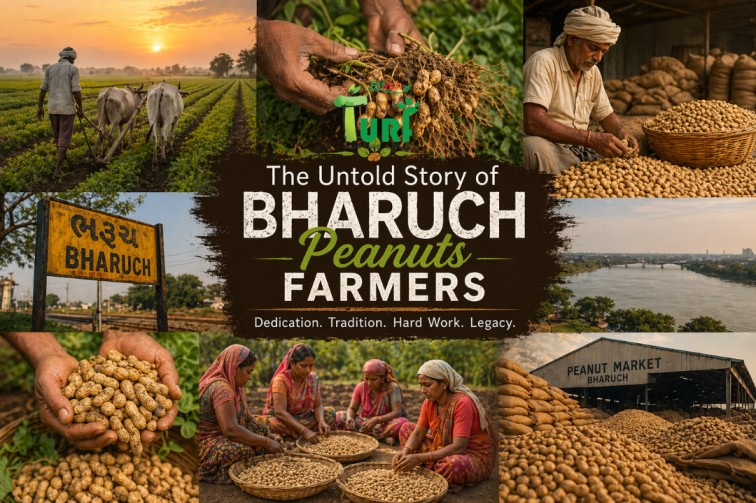 Turf Fresh Story of Peanuts Farmers